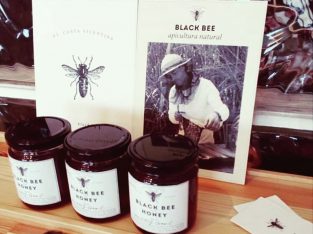 Black Bee – Nicolau da Costa