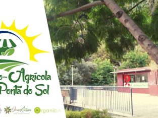 Expo-Agrícola e Artesanal | Vila da Ponta do Sol